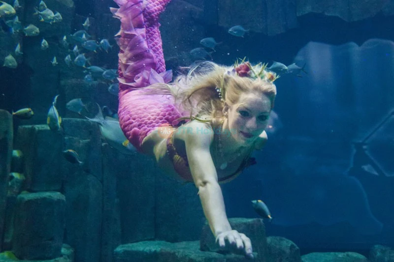 Aquarium De Paris