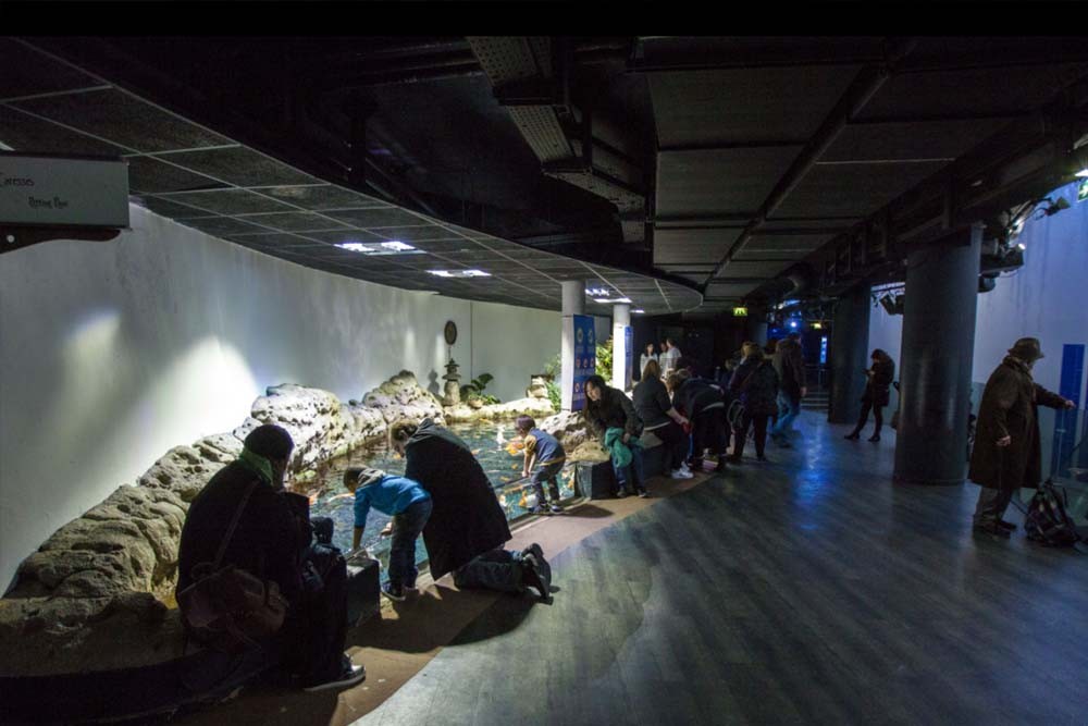 Aquarium De Paris - Image 2 of 7