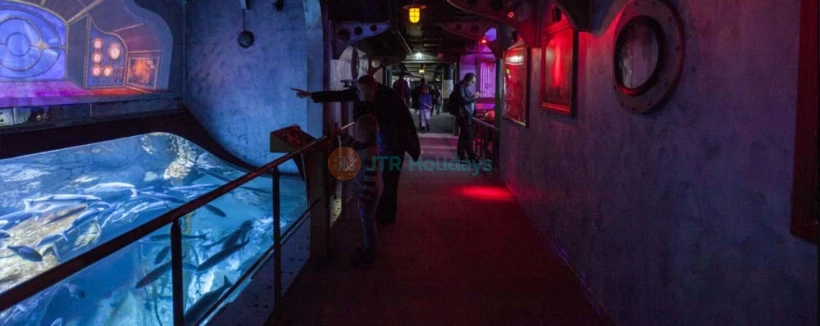 Aquarium de Paris - L'Aquarium de Paris vous permet de vivre la magie de l'océan, en plein cœur de Paris ! Rencontrez 13,000 poissons et invertébrés provenant de toutes les mers de la France métropolitaine et d'outre-mer, dont 38 grands requins, 2,500 méduses et 700 colonies de corail. Aquarium de Paris - Image 3 sur 5