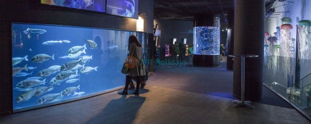 巴黎水族馆 - 图片 4 的 5