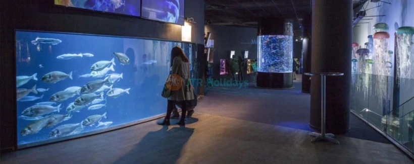 Aquarium de Paris - L'Aquarium de Paris vous permet de vivre la magie de l'océan, en plein cœur de Paris ! Rencontrez 13,000 poissons et invertébrés provenant de toutes les mers de la France métropolitaine et d'outre-mer, dont 38 grands requins, 2,500 méduses et 700 colonies de corail. Aquarium de Paris - Image 4 sur 5