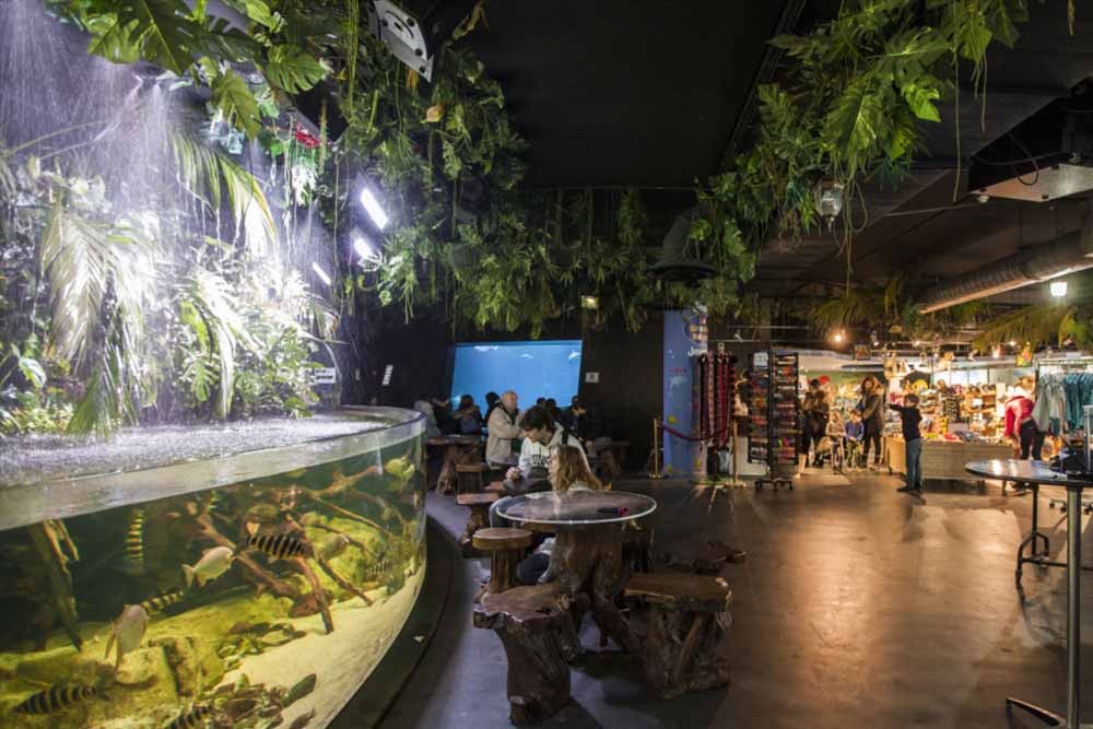 Aquarium von Paris - Das Aquarium de Paris lässt Sie die Magie des Ozeans mitten im Herzen von Paris erleben! Treffen Sie 13.000 Fische und wirbellose Tiere aus allen Meeren des französischen Festlands und Überseegebieten, darunter 38 große Haie, 2.500 Quallen und 700 Korallenkolonien. Aquarium von Paris - Bild 5 von 5