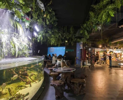 Aquarium de Paris - L'Aquarium de Paris vous permet de vivre la magie de l'océan, en plein cœur de Paris ! Rencontrez 13,000 poissons et invertébrés provenant de toutes les mers de la France métropolitaine et d'outre-mer, dont 38 grands requins, 2,500 méduses et 700 colonies de corail. Aquarium de Paris - Image 5 sur 5