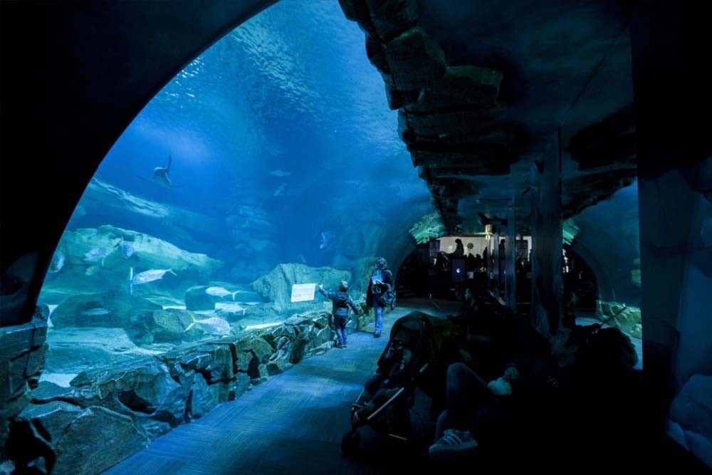 Aquarium De Paris - Image 6 of 7