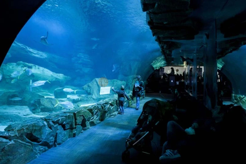 巴黎水族馆 - Image 6 of 7