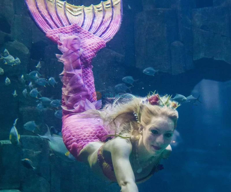 Aquarium De Paris Tickets - Buy Online Offer - JTR Holidays - Image 7 of 7