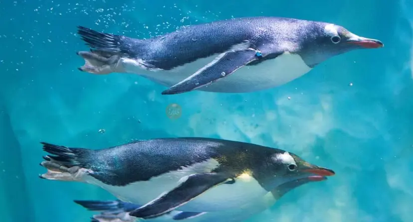 Аквариум SEA LIFE Париж - Image 1 of 8
