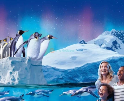 Аквариум SEA LIFE Париж - В аквариуме SEA LIFE Париж представлено 12 видов акул, морские звезды, морские коньки, зеленые черепахи, скаты и многое другое. Потрогайте морских звезд и других обитателей в скалистых водоемах. Спуститесь к зоне пингвинов для совершенно нового сенсорного опыта с генту-пингвинами в черно-белых костюмах. Или создайте своего морского существа и увидьте, как оно оживает в Виртуальном аквариуме. Это все веселье дайвинга без намокания. Аквариум SEA LIFE Париж - Изображение 2 из 5
