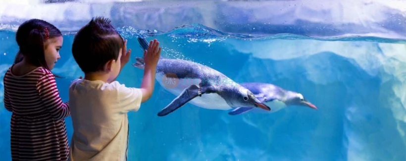 Аквариум SEA LIFE Париж - В аквариуме SEA LIFE Париж представлено 12 видов акул, морские звезды, морские коньки, зеленые черепахи, скаты и многое другое. Потрогайте морских звезд и других обитателей в скалистых водоемах. Спуститесь к зоне пингвинов для совершенно нового сенсорного опыта с генту-пингвинами в черно-белых костюмах. Или создайте своего морского существа и увидьте, как оно оживает в Виртуальном аквариуме. Это все веселье дайвинга без намокания. Аквариум SEA LIFE Париж - Изображение 4 из 5