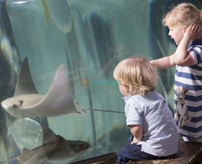 Аквариум SEA LIFE Париж - В аквариуме SEA LIFE Париж представлено 12 видов акул, морские звезды, морские коньки, зеленые черепахи, скаты и многое другое. Потрогайте морских звезд и других обитателей в скалистых водоемах. Спуститесь к зоне пингвинов для совершенно нового сенсорного опыта с генту-пингвинами в черно-белых костюмах. Или создайте своего морского существа и увидьте, как оно оживает в Виртуальном аквариуме. Это все веселье дайвинга без намокания. Аквариум SEA LIFE Париж - Изображение 5 из 5