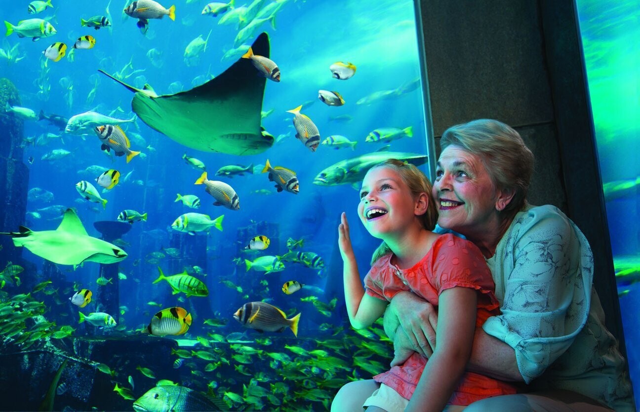 Verlorene Welt Aquarium Dubai - Bild 3 von 5