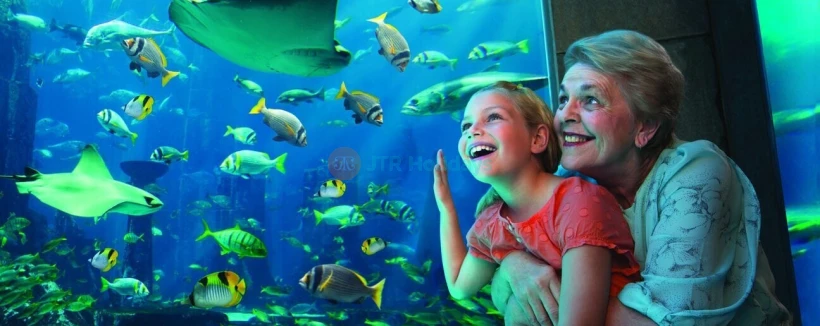 Lost World Aquarium Dubai - Image 3 of 5