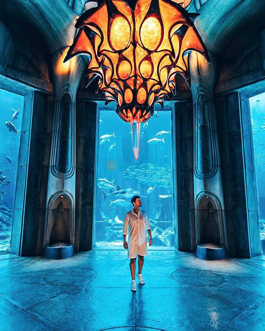 Lost World Aquarium Dubai | E-Tickets | Atlantis The Palm - JTR Holidays - Image 6 of 8