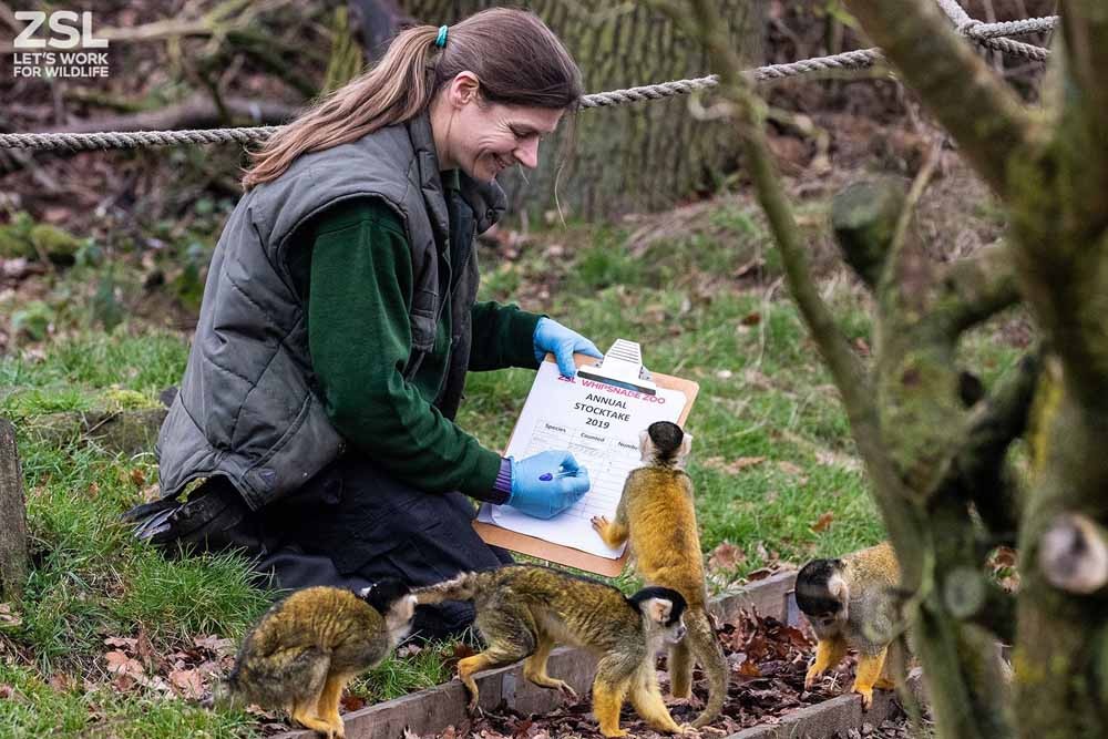 伦敦动物园门票 - Image 1 of 8