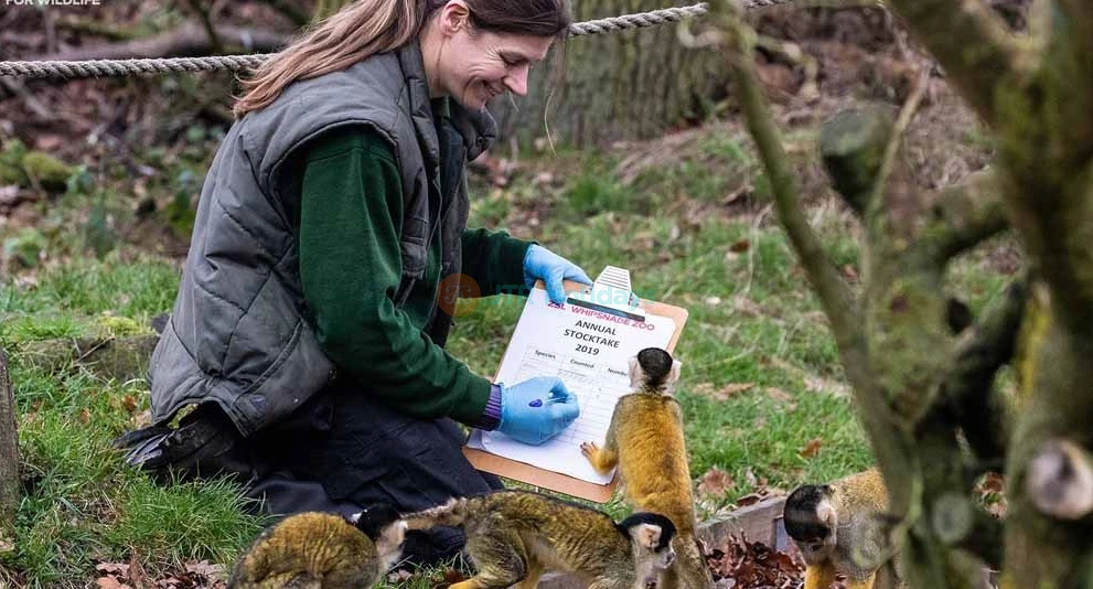 London Zoo Ticket - Image 1 of 5