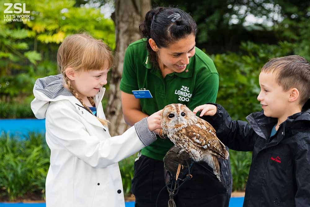ロンドン動物園チケット - ZSL(ロンドン動物学会)は1826年にサー・スタンフォード・ラッフルズによって設立されました。ロンドン動物園は1827年に開園し、建築の傑作でした。これらの当時の建物の多くは現在も残され、用途を変えて利用されています。ZSLロンドン動物園の敷地にはグレードIに指定された建物が2棟、グレードIIに指定された建物が8棟あり、動物園の近代的な付属施設も同様に見事です。 ロンドン動物園チケット - 画像 5 の 5