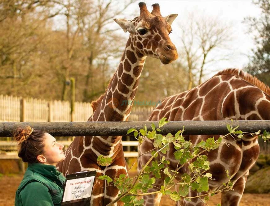 ZSL London Zoo | E-Tickets‎ - JTR Holidays