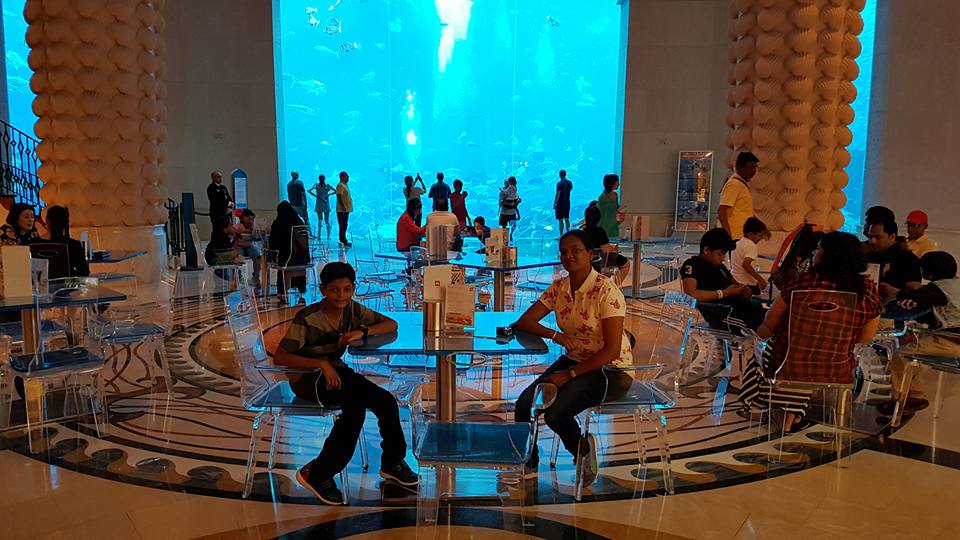 Lost World Aquarium Dubai - Image 7 of 8