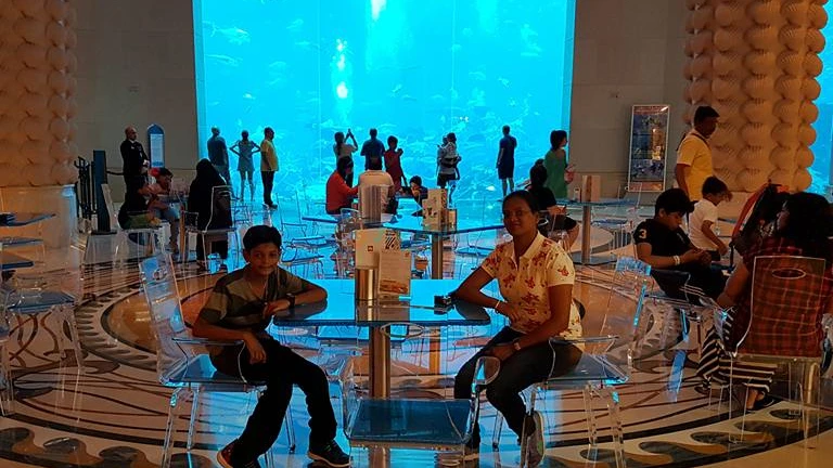 Acuario Lost World Dubái - Image 7 of 8