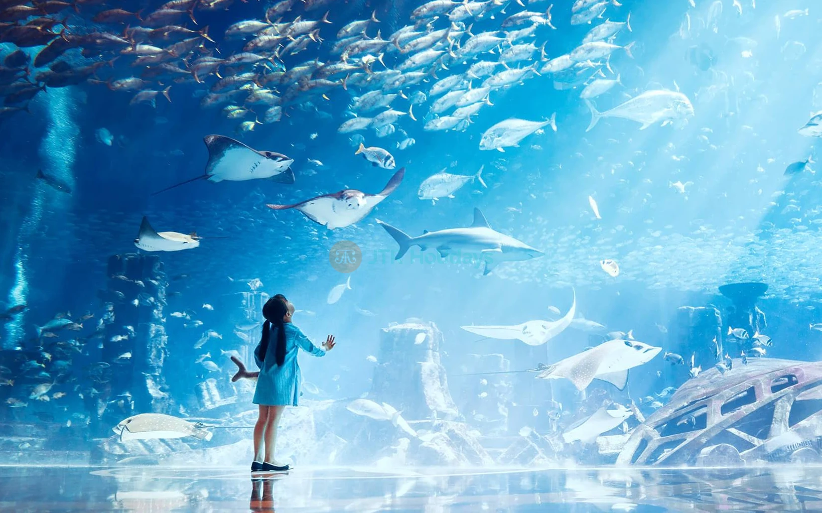 Lost World Aquarium Dubai | E-Tickets | Atlantis The Palm - JTR Holidays - Image 8 of 8