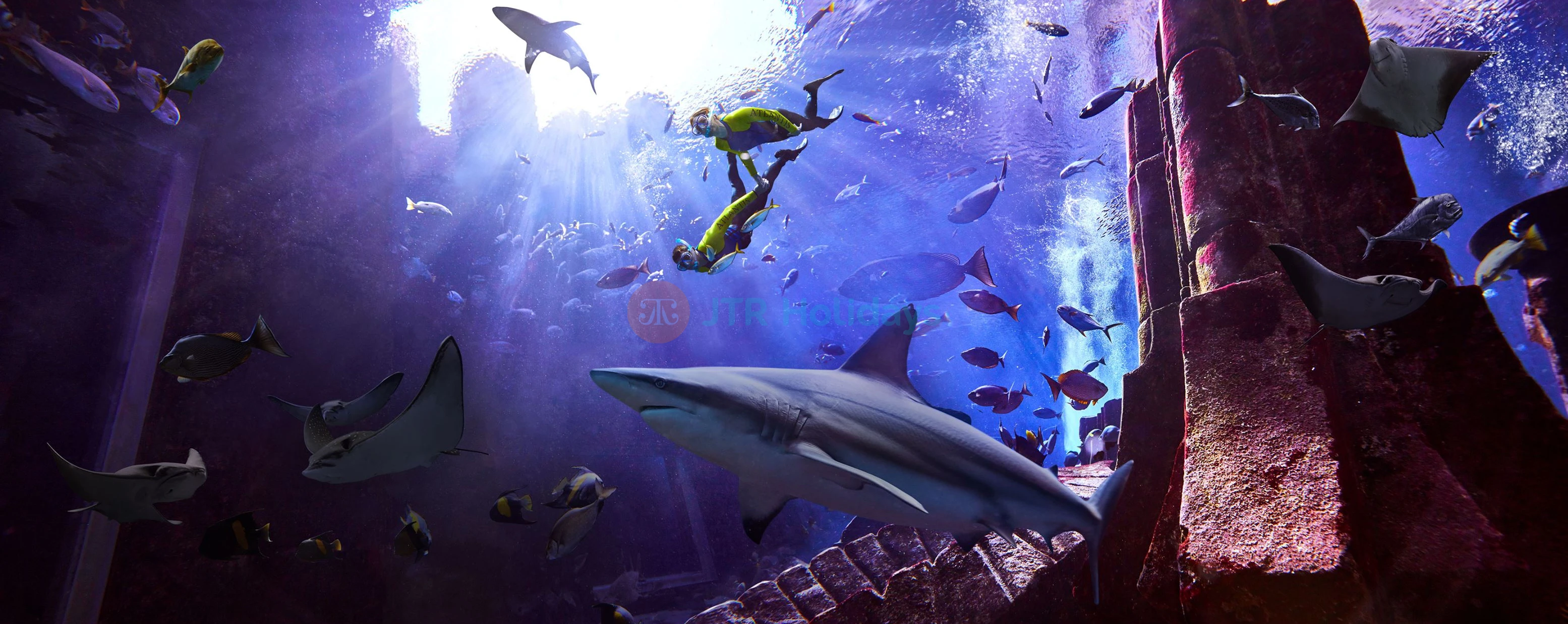 Lost World Aquarium Dubai | E-Tickets | Atlantis The Palm - JTR Holidays - Image 4 of 5