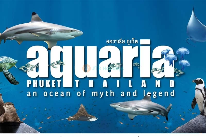 Biglietti Aquaria Phuket Thailandia