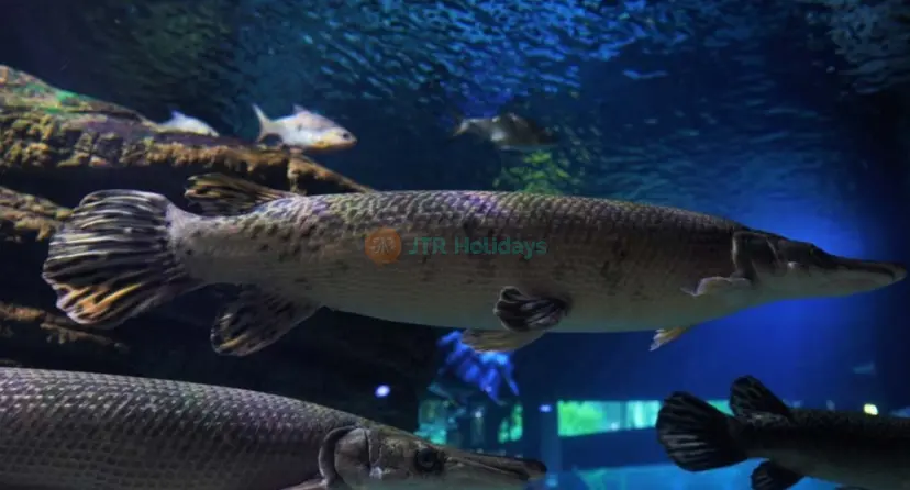甲米普吉水族馆门票 - Image 1 of 8