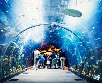 Lost World Aquarium Dubai - Image 2 of 5