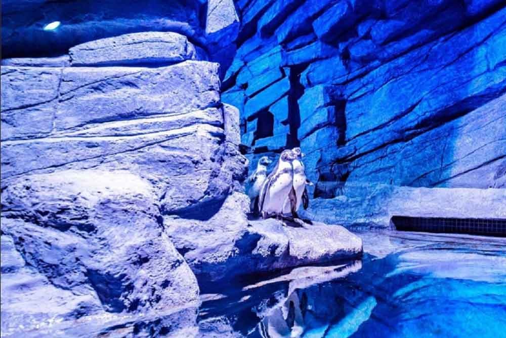 Billets Aquaria Phuket Thaïlande - Image 2 sur 5