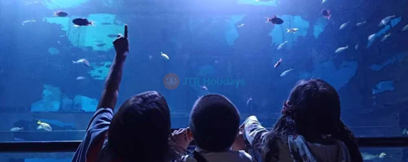 甲米普吉水族馆门票 - 沉浸在普吉岛顶级水族馆甲米普吉水族馆的海洋之美与神秘中,位于市中心的中央普吉购物中心地下。知识渊博且友好的工作人员将引领您踏上一段神奇旅程,遇见超过25,000种迷人的海洋生物。不要错过了解海洋奇观并与我们令人惊叹的海洋生物互动的机会。 甲米普吉水族馆门票 - 图片 3 的 5