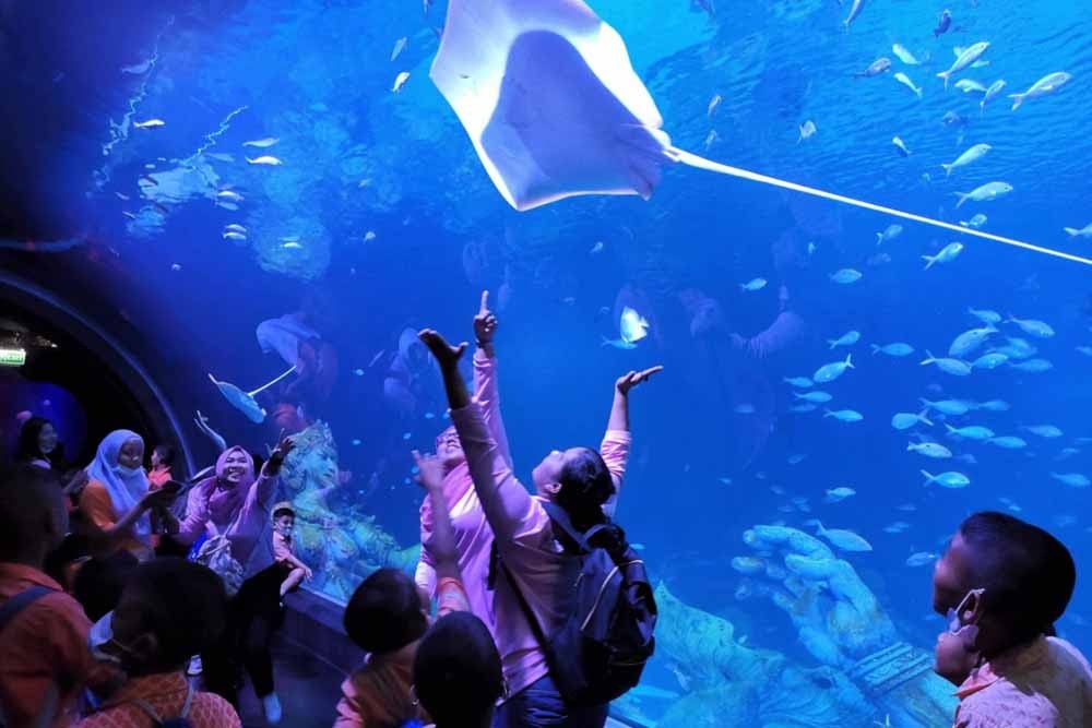 Aquaria Phuket Thailand Tickets - Immerse yourself in the beauty and mystery of the ocean at Phuket's premier aquarium the Aquaria Phuket Thailand, located in the heart of the city beneath Central Phuket Mall. The knowledgeable and friendly staff will guide you on an enchanted journey where you'll encounter over 25,000 fascinating marine creatures. Don't miss this opportunity to learn more about the wonders of the sea and interact with our incredible marine creatures. Aquaria Phuket Thailand Tickets - Image 4 of 5