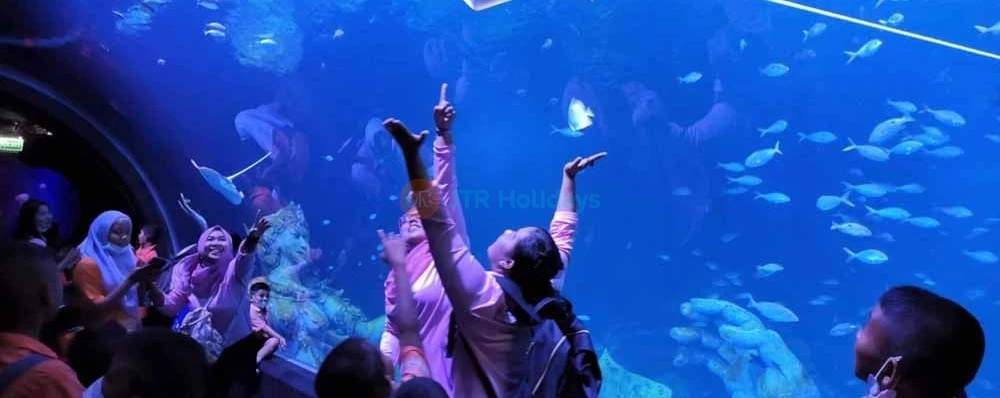 Aquaria Phuket Thailand Tickets - Image 4 of 5
