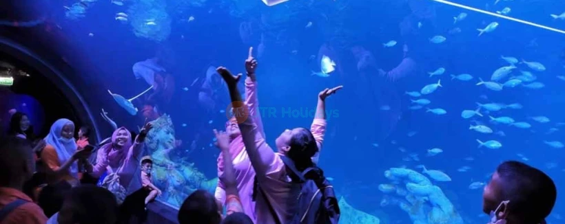 甲米普吉水族馆门票 - 沉浸在普吉岛顶级水族馆甲米普吉水族馆的海洋之美与神秘中,位于市中心的中央普吉购物中心地下。知识渊博且友好的工作人员将引领您踏上一段神奇旅程,遇见超过25,000种迷人的海洋生物。不要错过了解海洋奇观并与我们令人惊叹的海洋生物互动的机会。 甲米普吉水族馆门票 - 图片 4 的 5