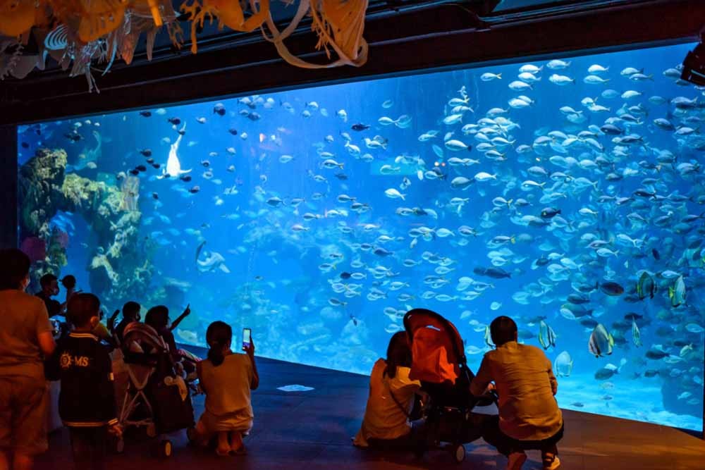 Billets Aquaria Phuket Thaïlande - Image 6 of 8