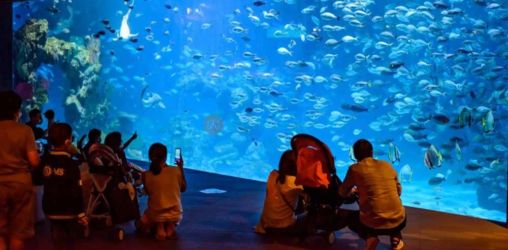 Aquaria Phuket Thailand Tickets - Image 6 of 8