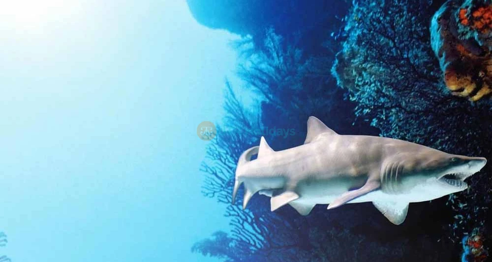 Aquaria Phuket Thailand Tickets - Image 8 of 8
