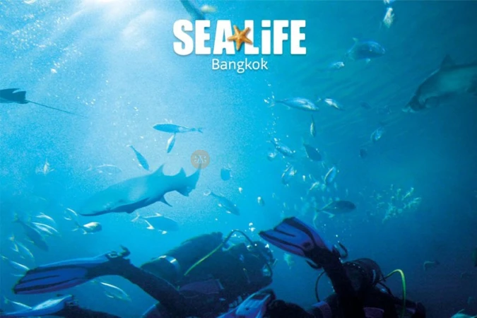 SEA LIFE Bangkok Ocean World