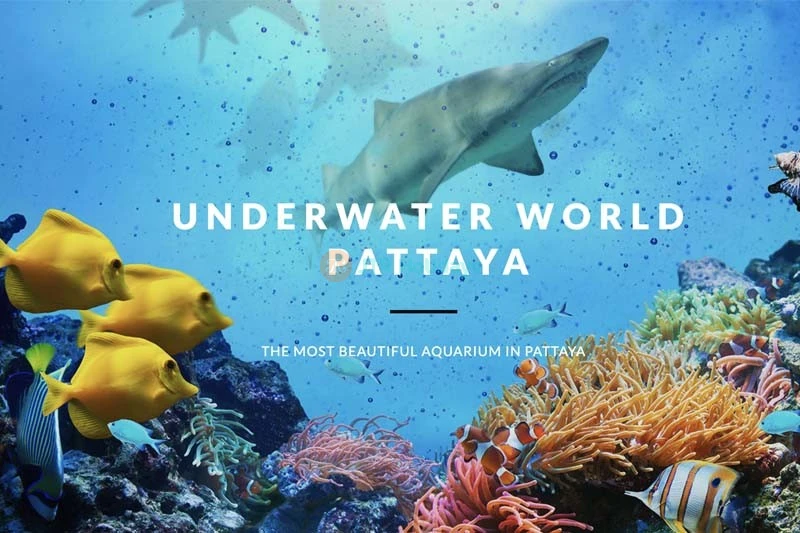 Biglietto Underwater World Pattaya