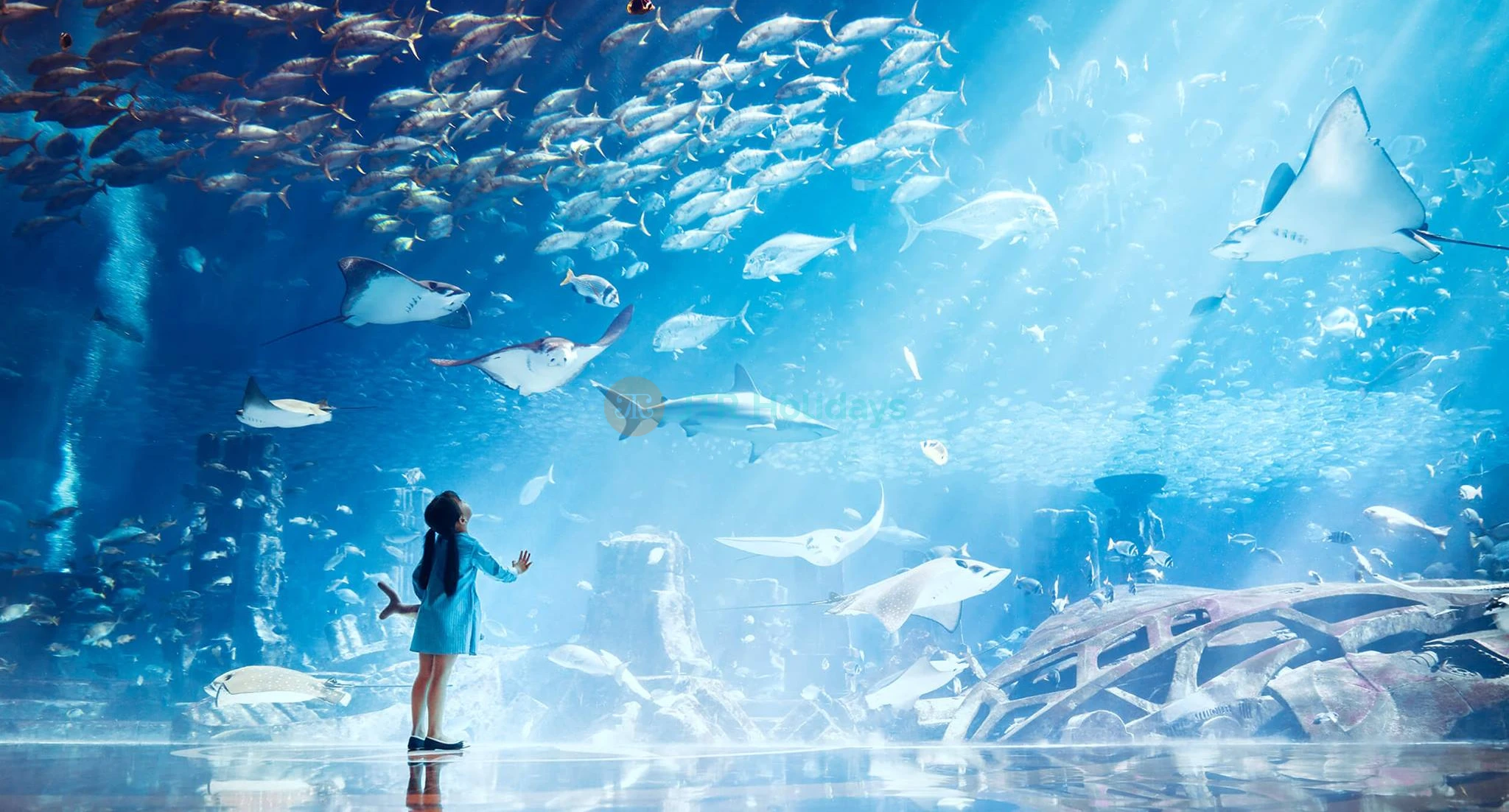 Lost World Aquarium Dubai | E-Tickets | Atlantis The Palm - JTR Holidays - Image 1 of 5