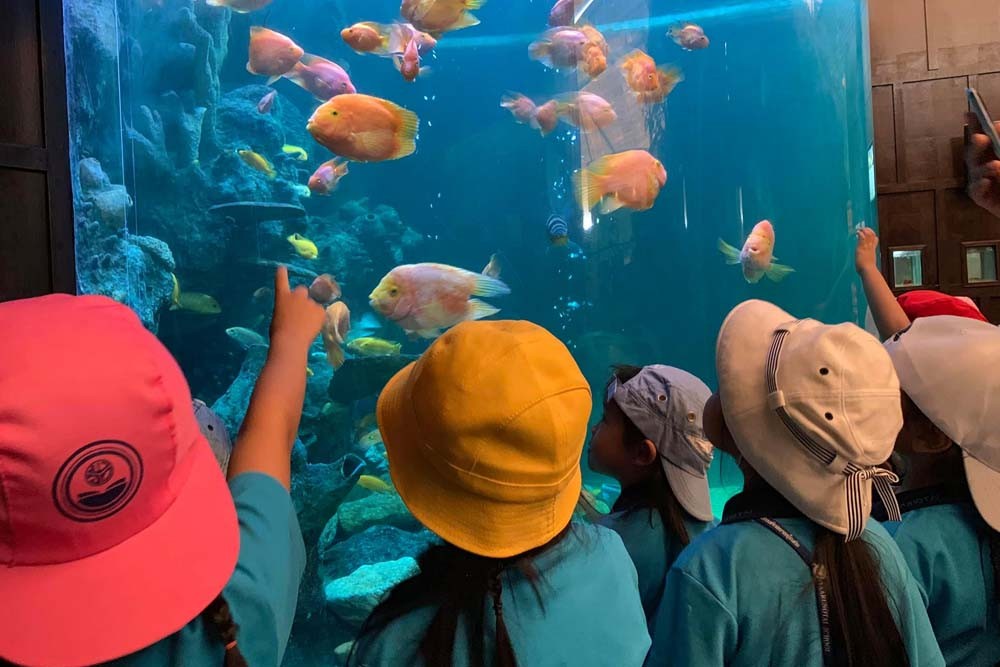 Underwater World Pattaya Ticket - Image 2 of 8