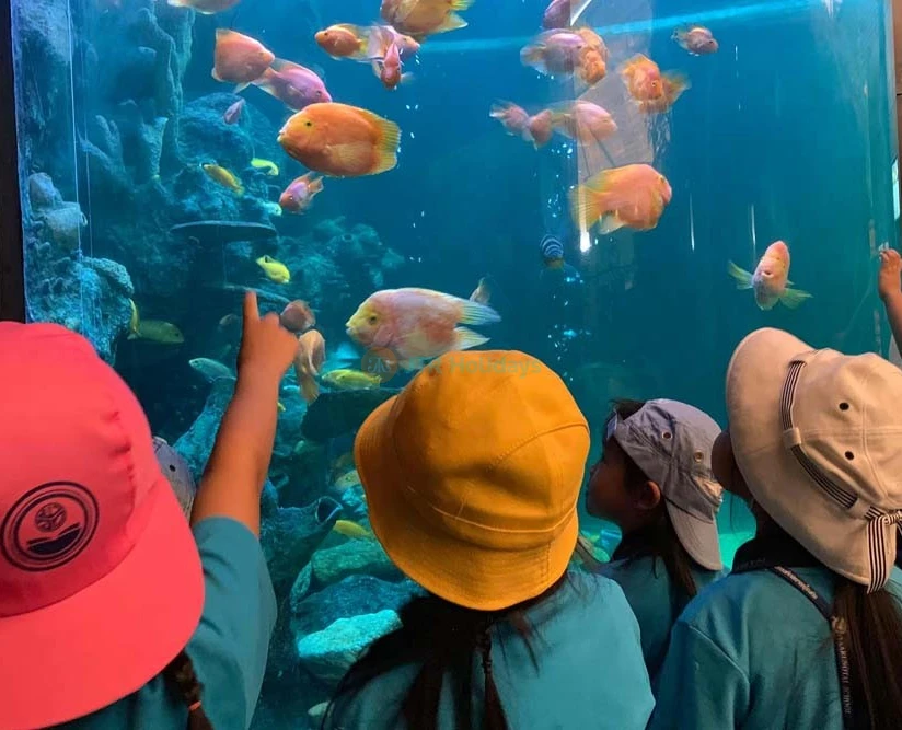 Underwater World Pattaya - Best Price Guaranteed - JTR Holidays - Image 2 of 5