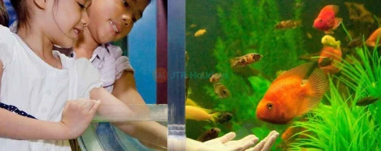 Underwater World Pattaya - Best Price Guaranteed - JTR Holidays