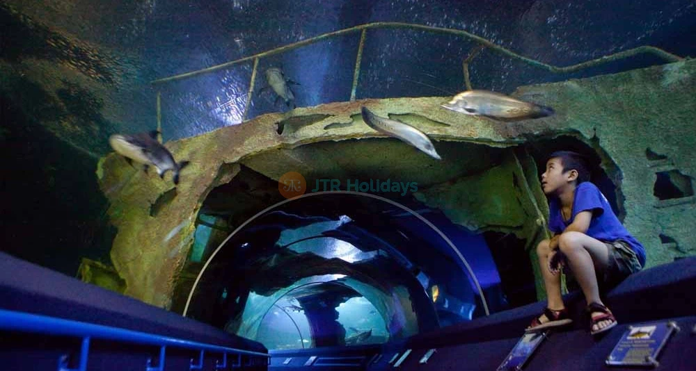 Underwater World Pattaya Ticket - Image 6 of 8