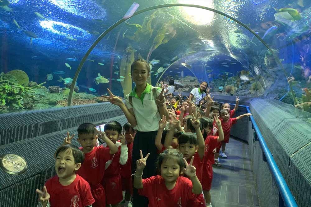 Underwater World Pattaya Ticket - Image 7 of 8