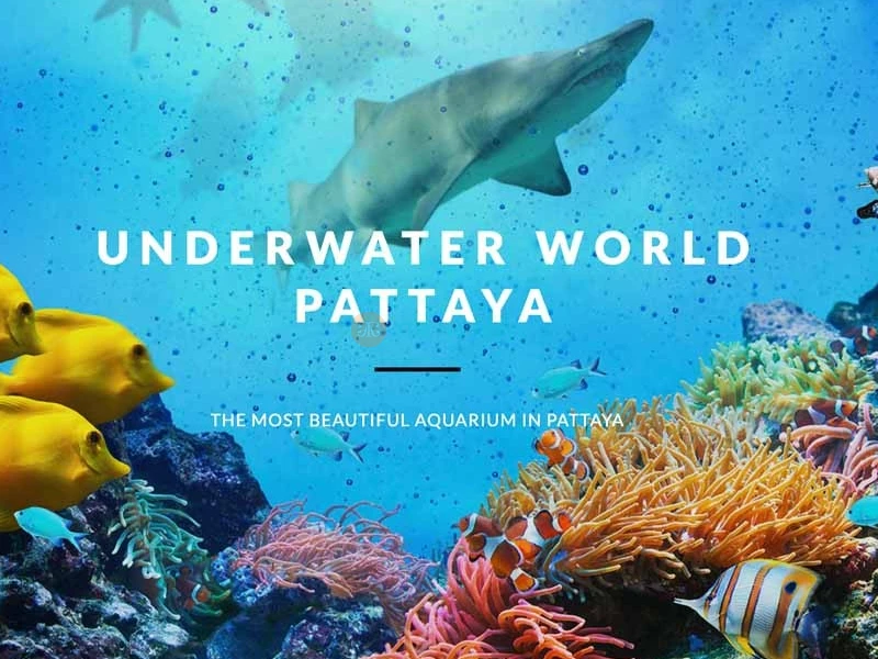 Underwater World Pattaya - Best Price Guaranteed - JTR Holidays