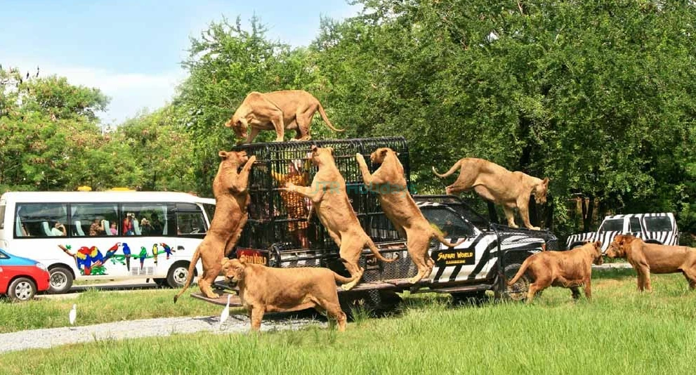 Safari World Bangkok - Image 1 of 5