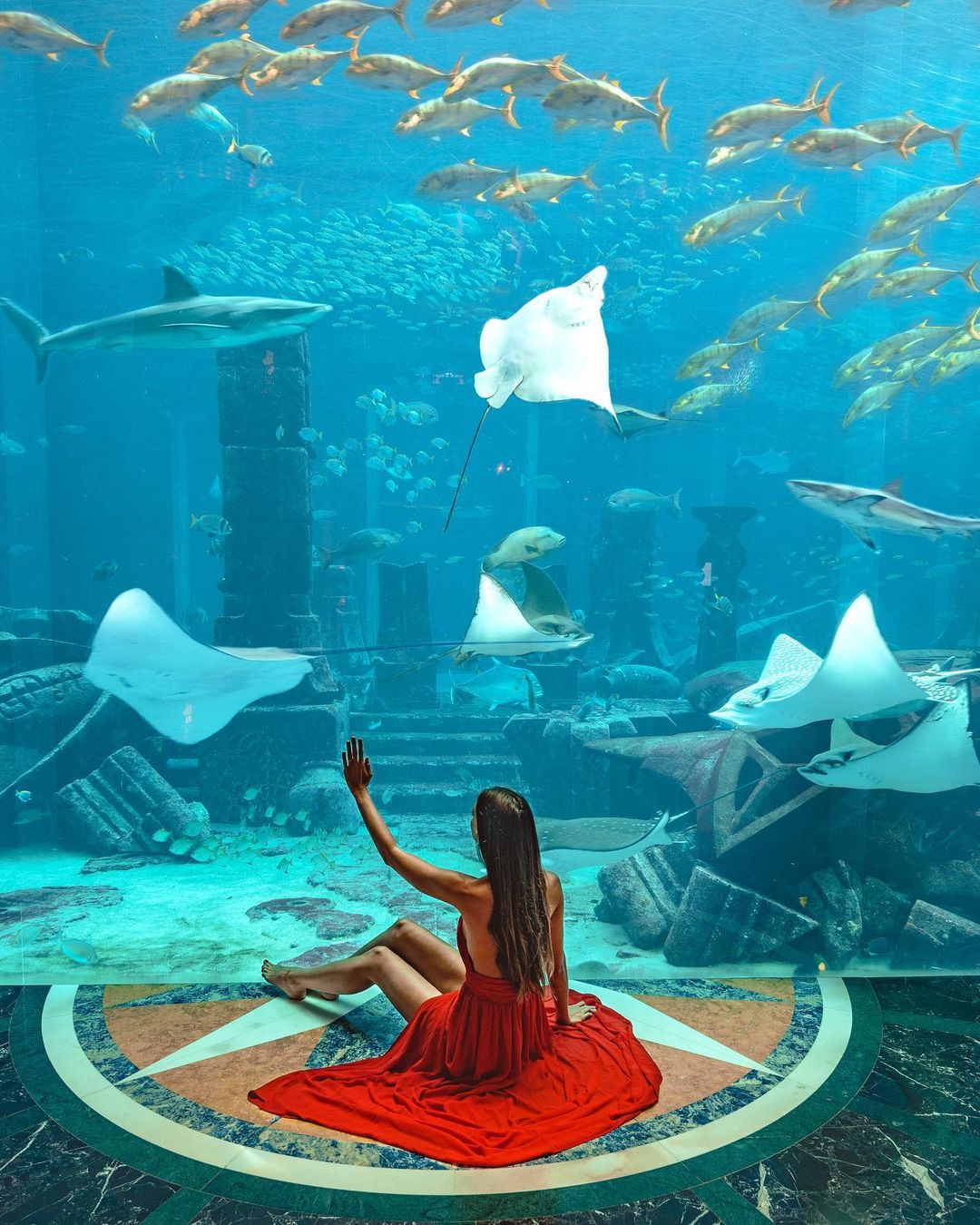 Lost World Aquarium Dubai - Book tickets to the all-new Lost World Aquarium Dubai (formerly Lost Chambers). Explore 14 interactive chambers & meet 65,000 marine animals at Atlantis The Palm. Lost World Aquarium Dubai - Image 5 of 5