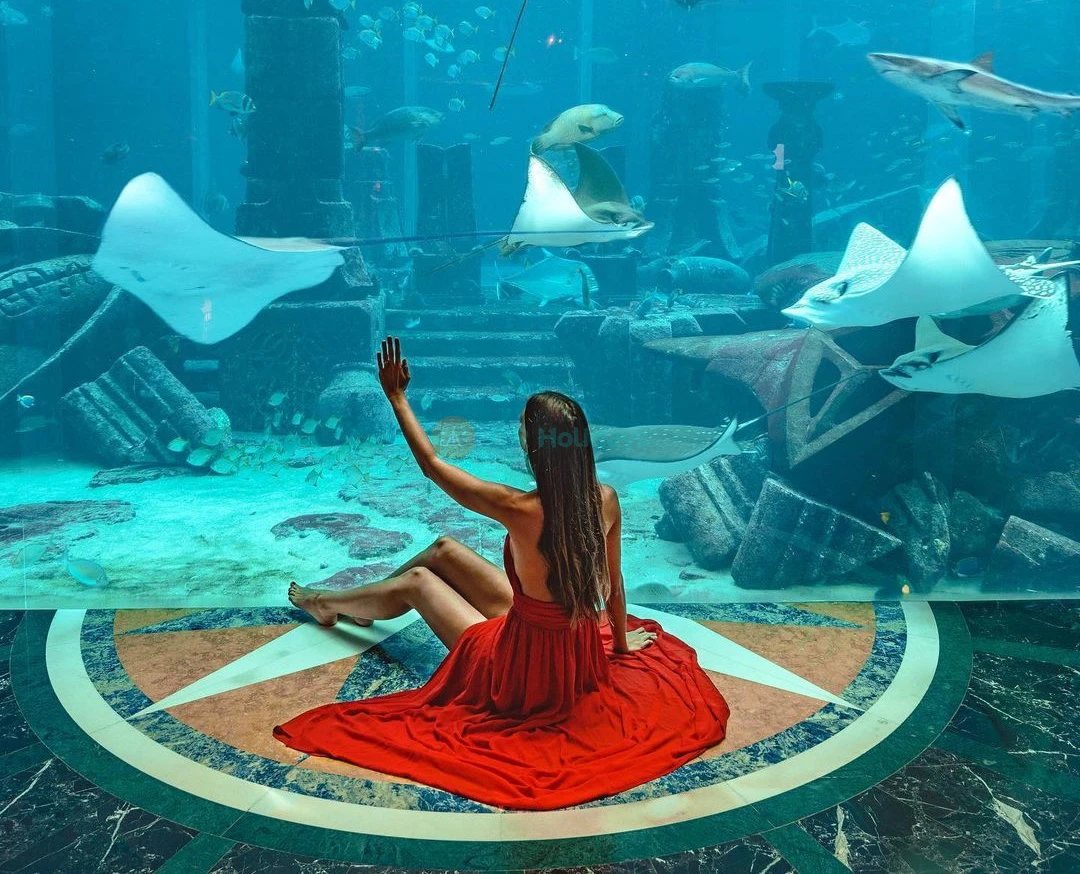 Acuario Lost World Dubái - Imagen 5 de 5