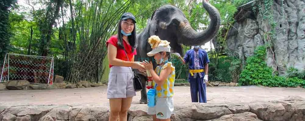 Safari World Bangkok - Image 3 of 5