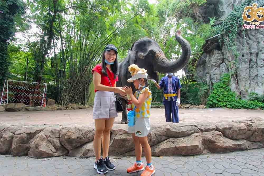 Safari World Bangkok - Book Safari World Bangkok tickets. It includes Safari Park and Marine Park, this park is undoubtedly Thailand's most popular animal and leisure park promising a great deal of entertainment and recreation. With a fair share of exciting things for both adults and kids. Safari World Bangkok - Image 3 of 5